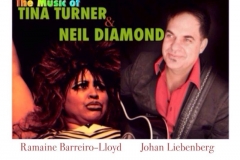 Neil Diamond and Tina Turner